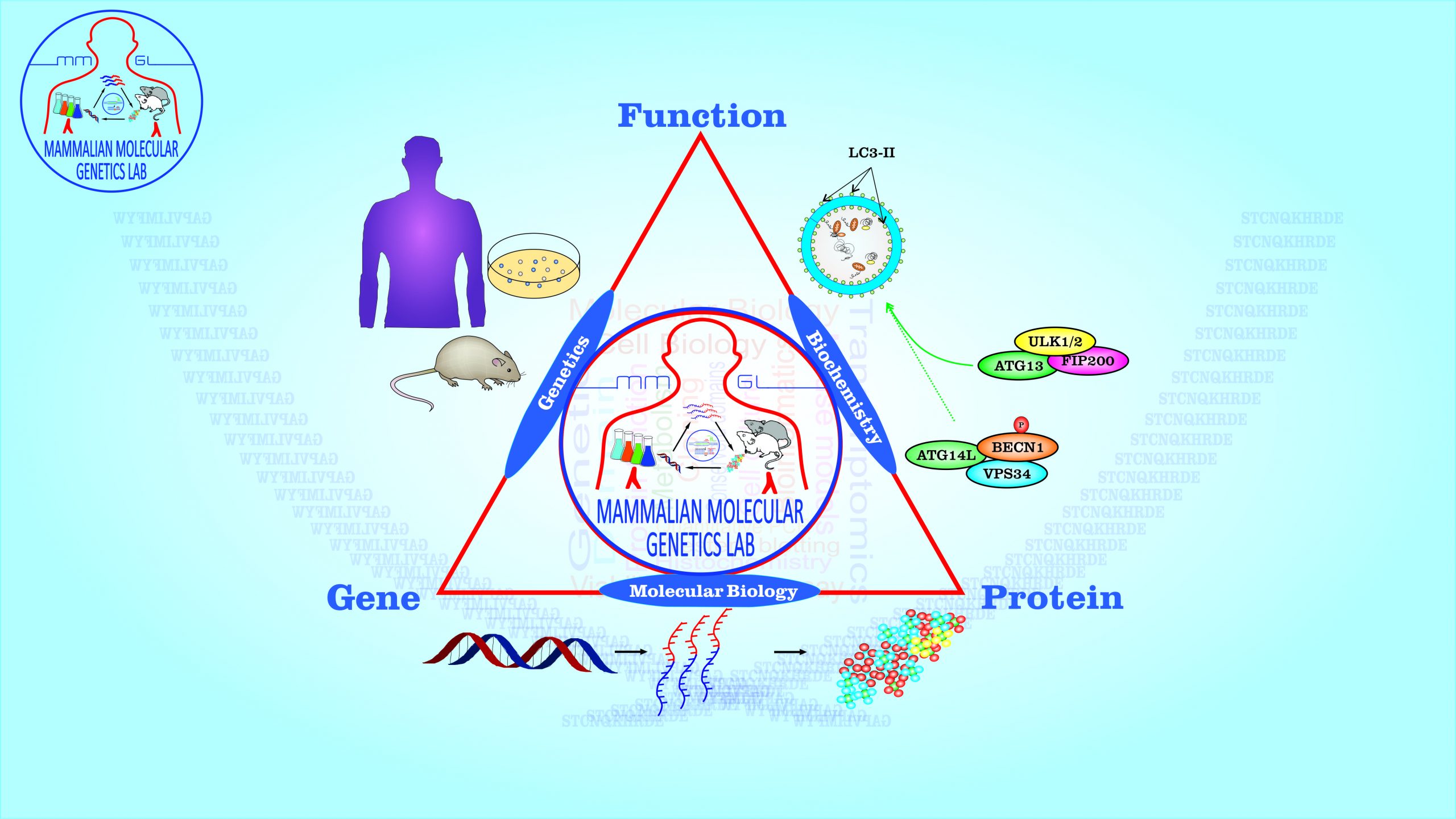 MMGL - Life Sciences by Dr. Muhammad Ali