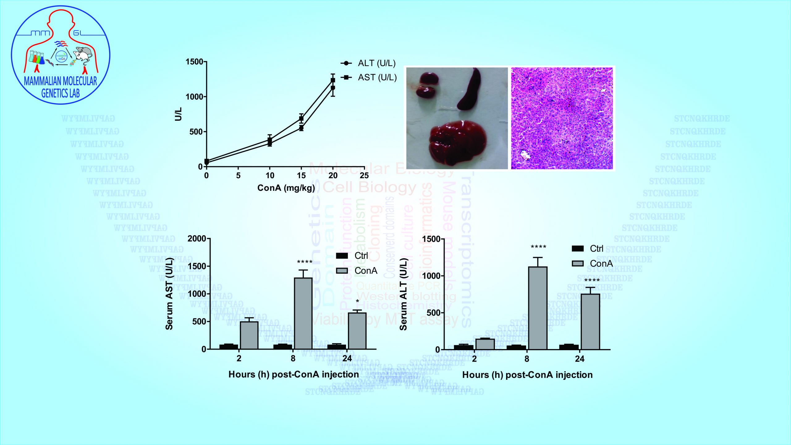 MMGL - Life Sciences by Dr. Muhammad Ali