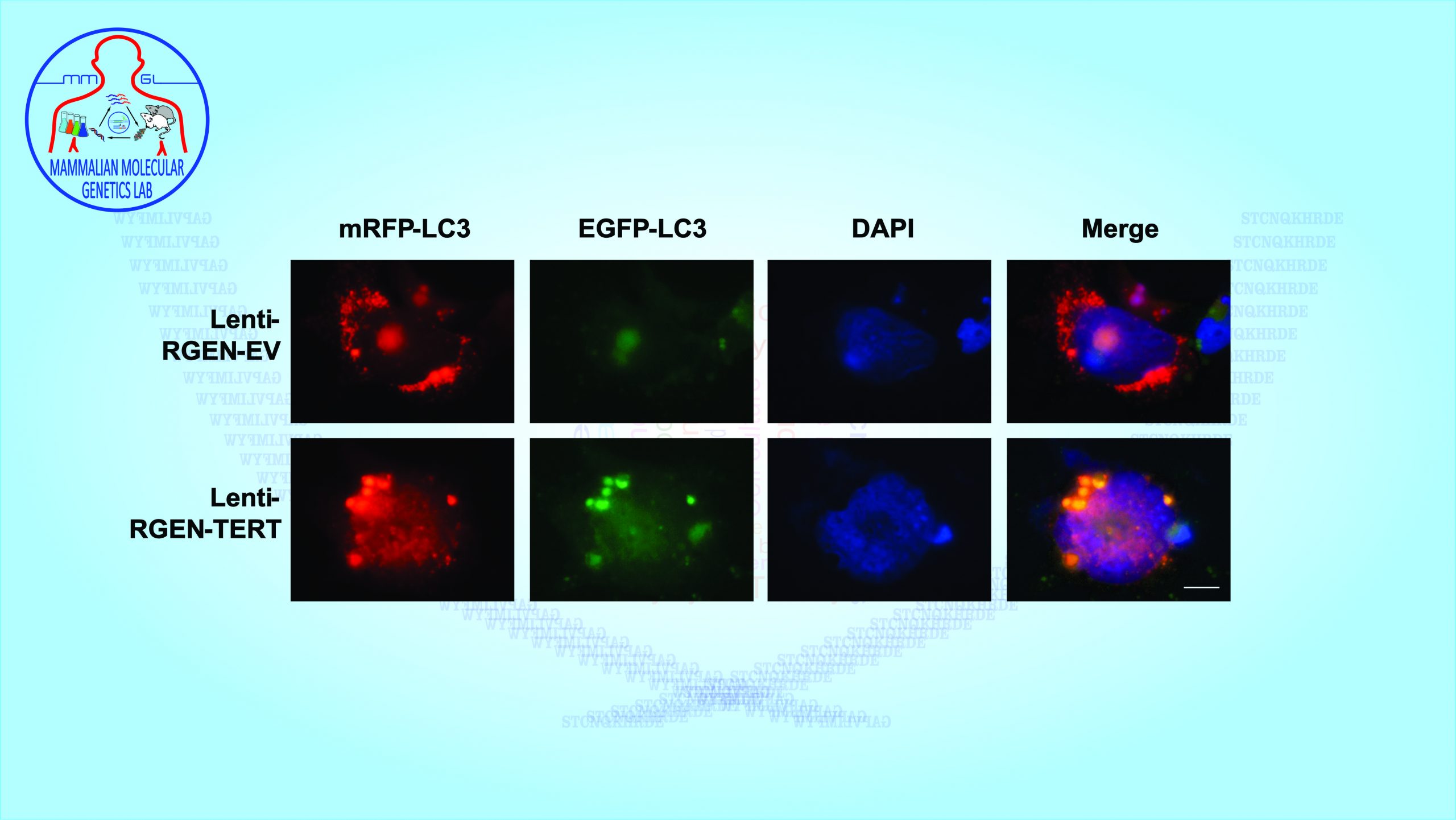 MMGL - Life Sciences by Dr. Muhammad Ali