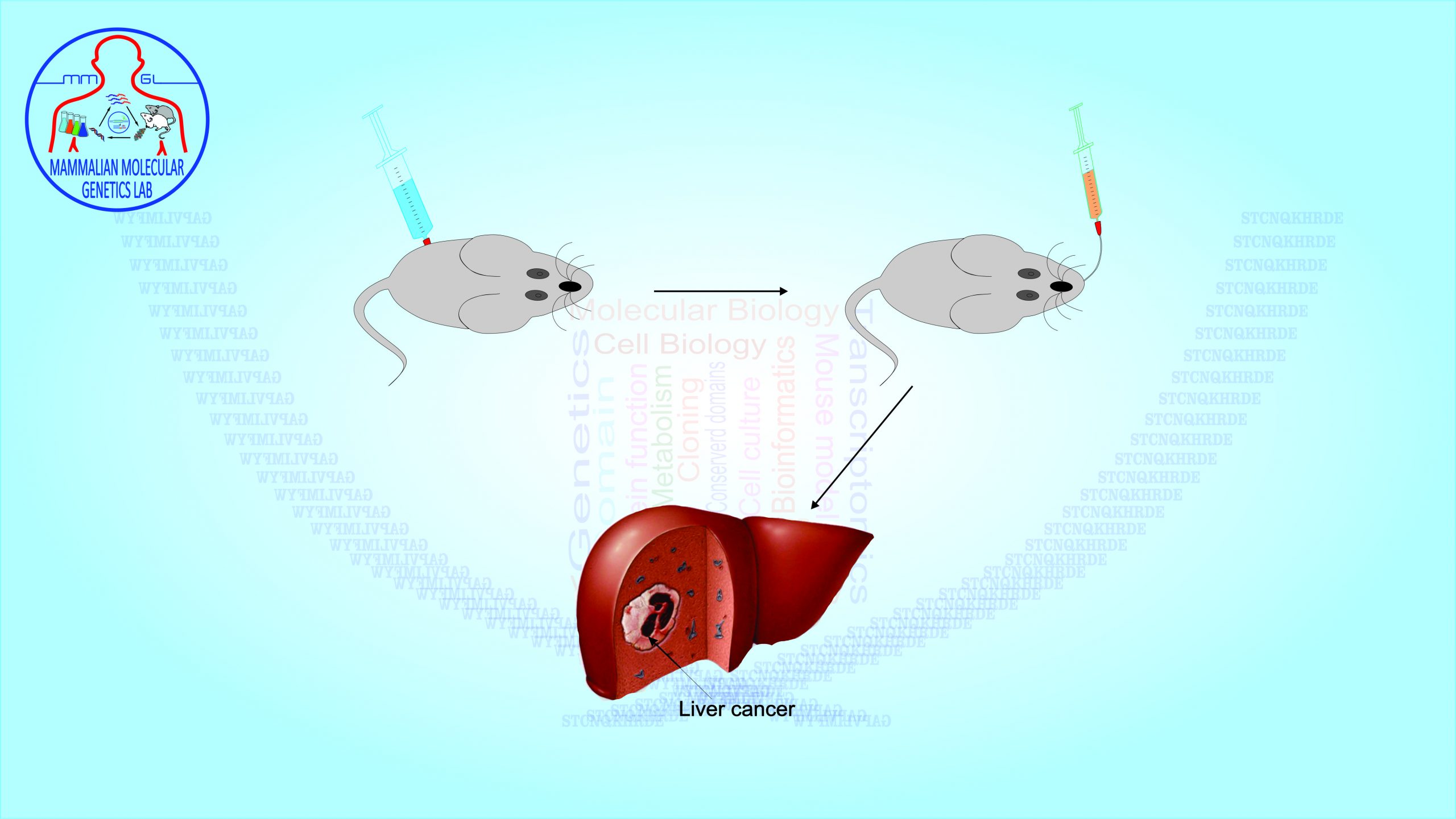 MMGL - Life Sciences by Dr. Muhammad Ali