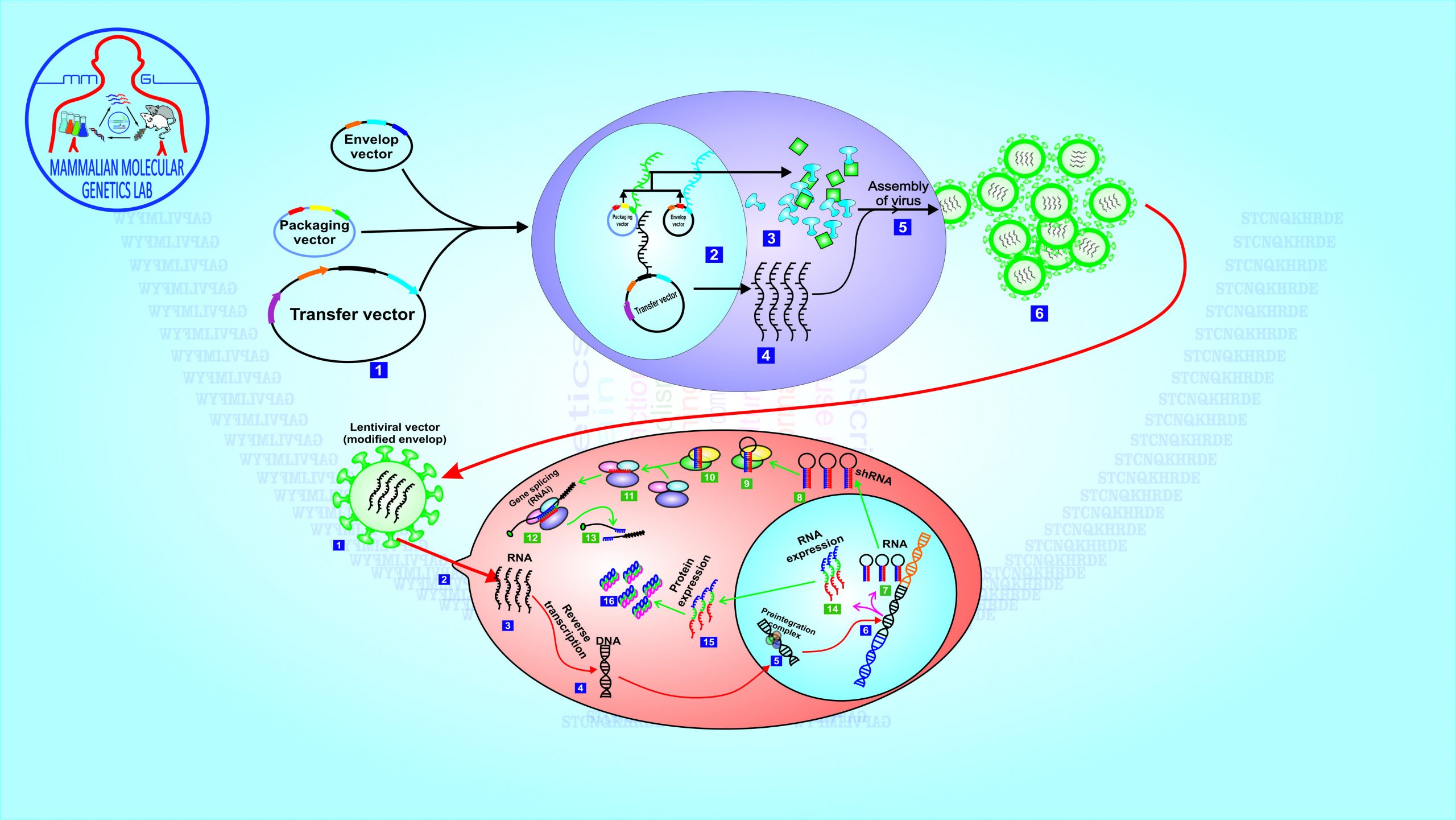 MMGL - Life Sciences by Dr. Muhammad Ali