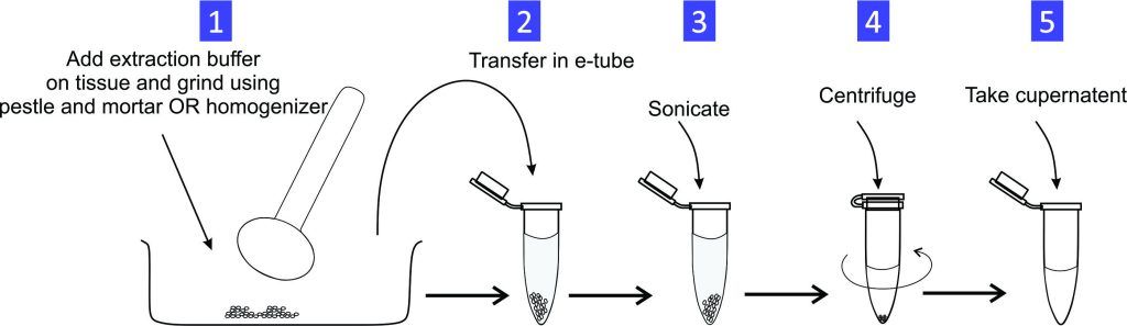 MMGL- Life sciences